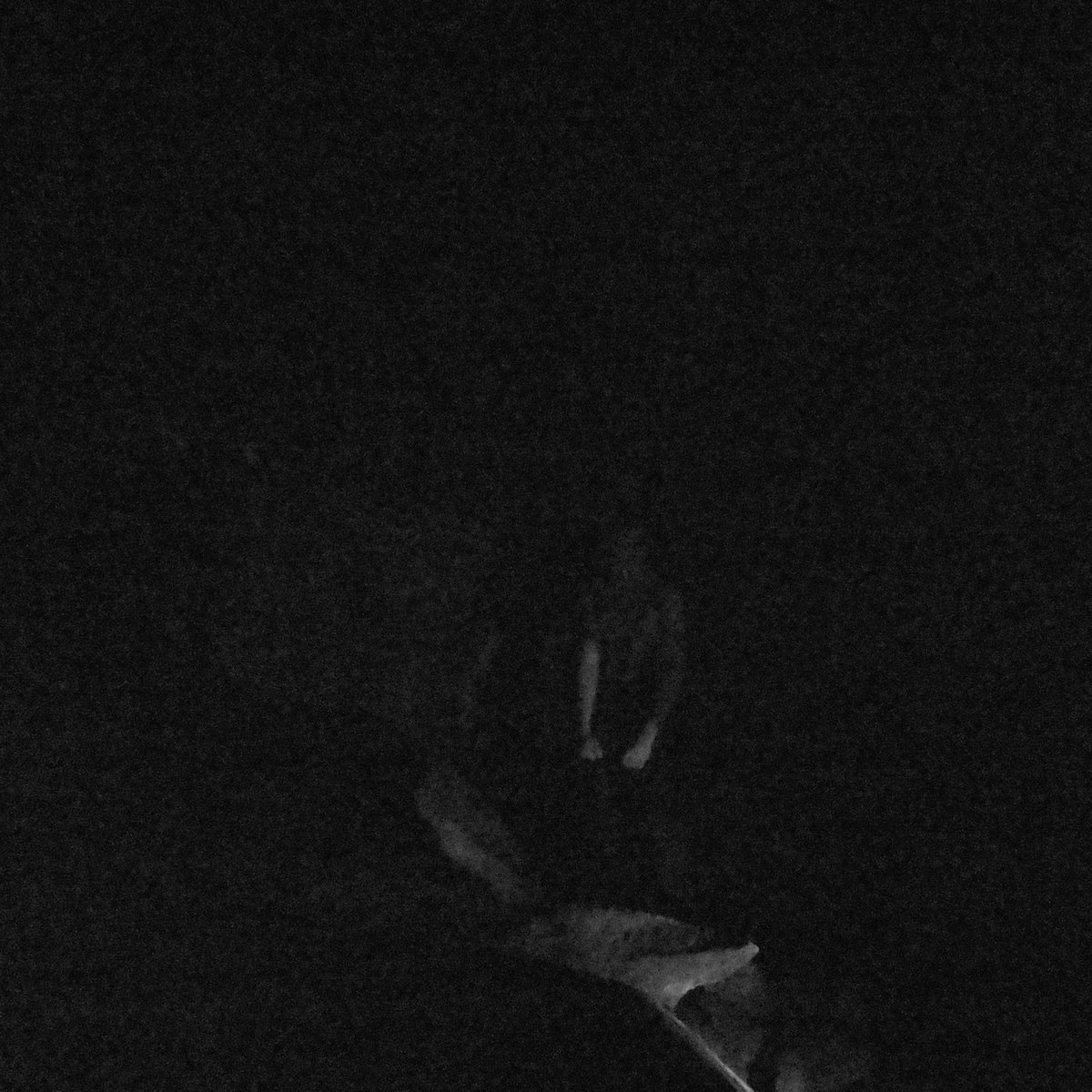 We Were Driven Below