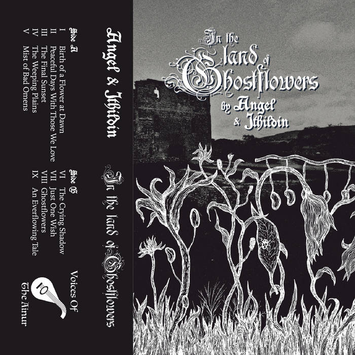 In The Land Of Ghostflowers