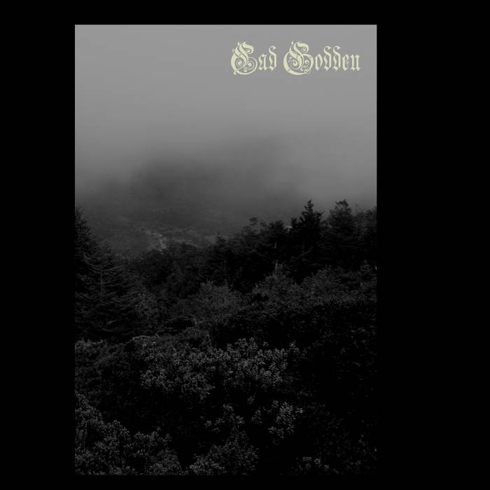 Forest Meditation