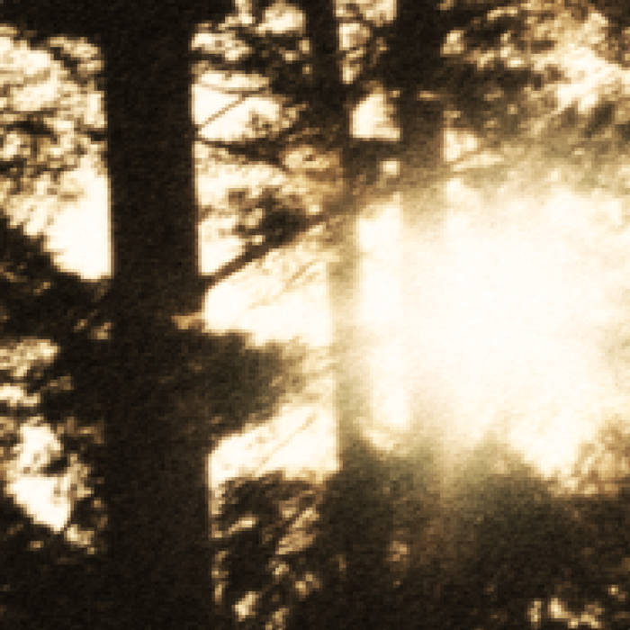 Wind Through the Leaves; Murmur of the Creek