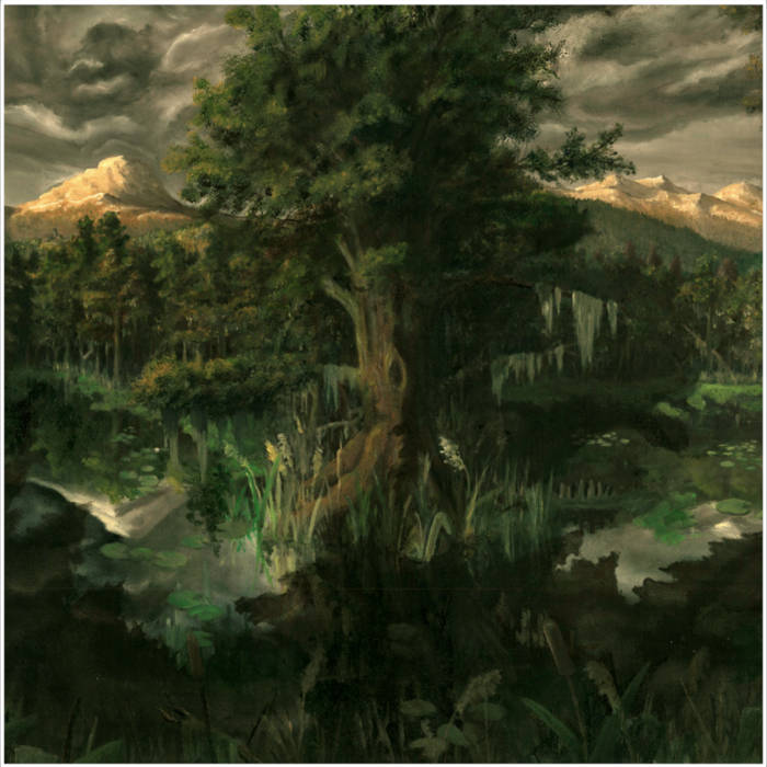 Caverns Under the Wetland