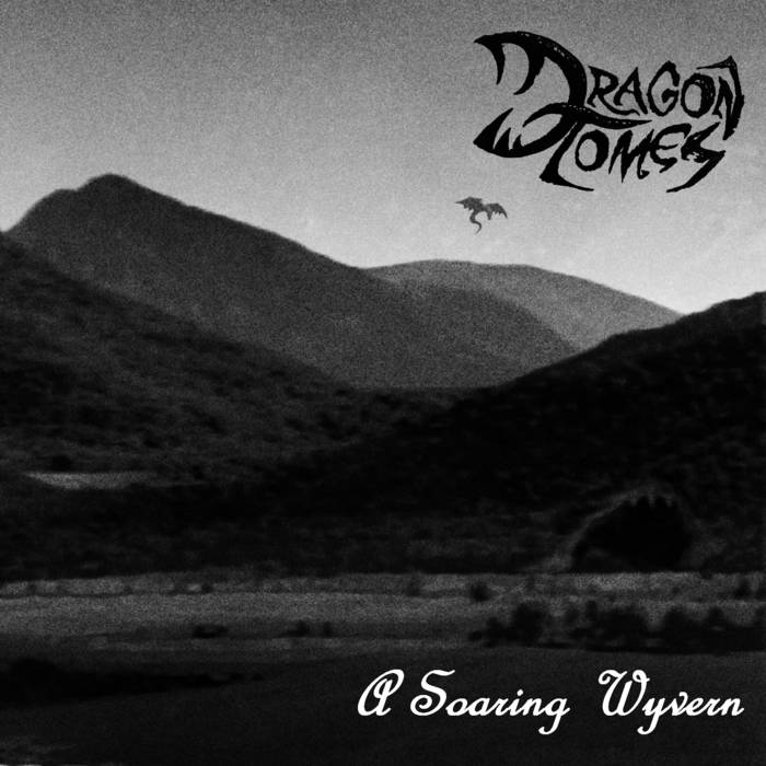 A Soaring Wyvern