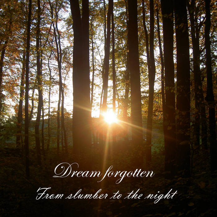 From slumber to the night