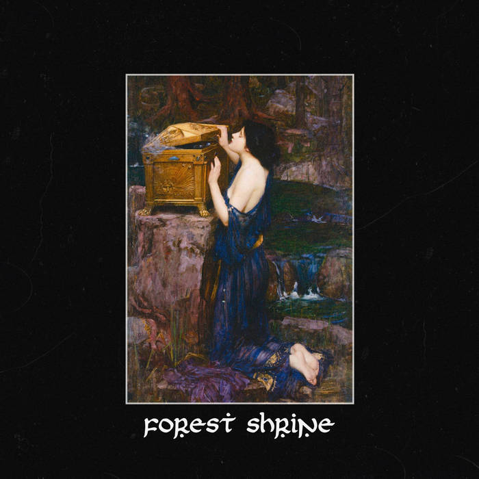 Secrets of the Forest