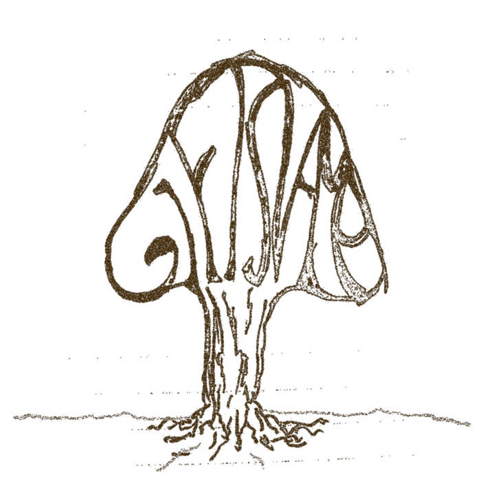 To Stumble Upon Bewitched Mushrooms