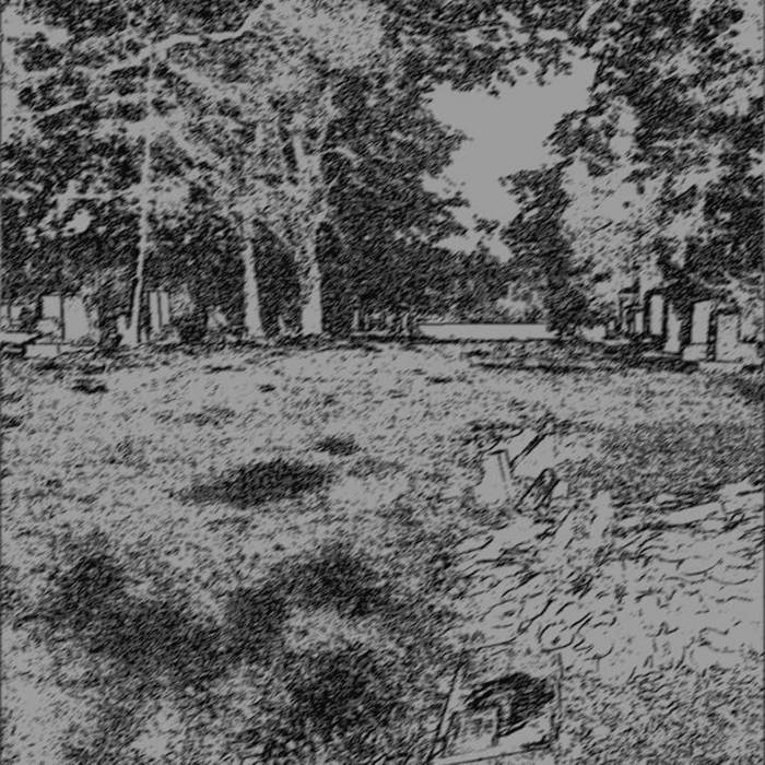 Cemetery Stroll