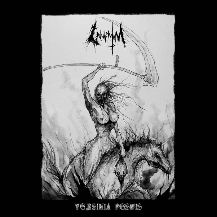 Yersinia Pestis