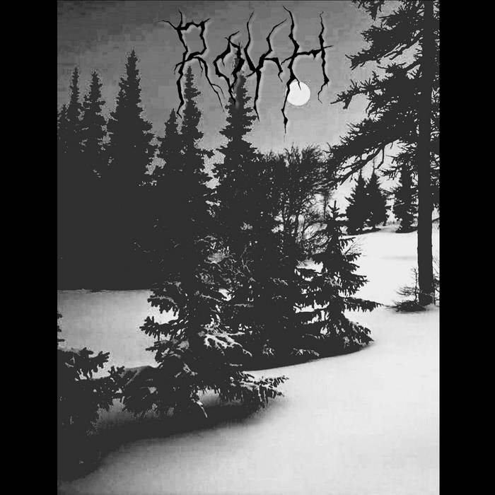 The Yearning For Winter Forest In Moonlight