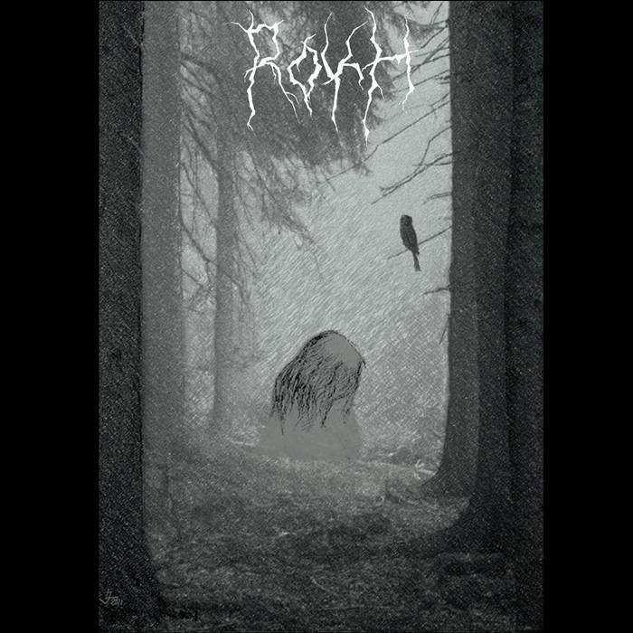 A Midnight Dream​.​.​.