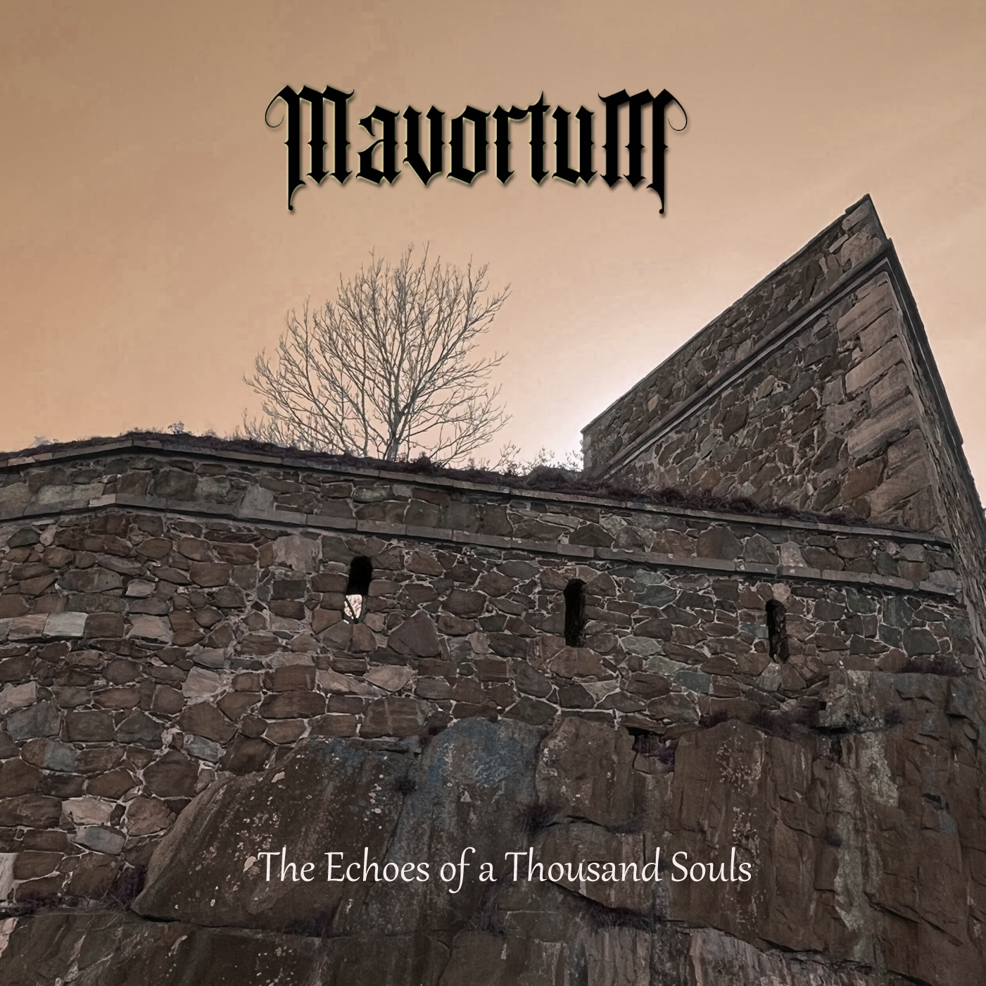 The Echoes of a Thousand Souls