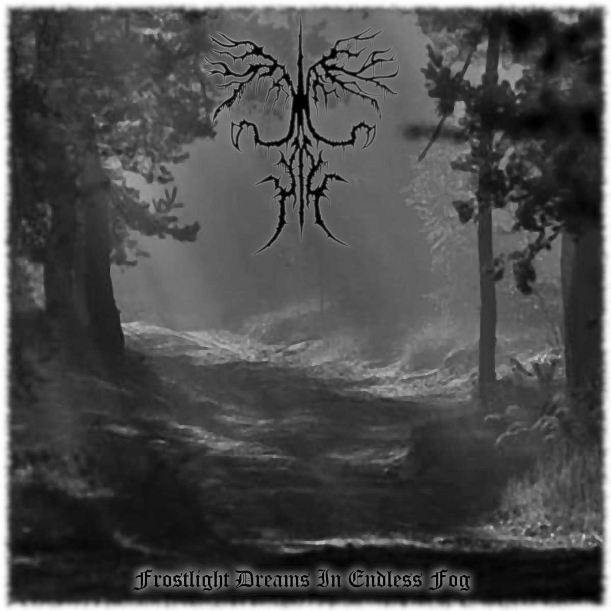 Frostlight Dreams In Endless Fog Frostlight Dreams In Endless Fog