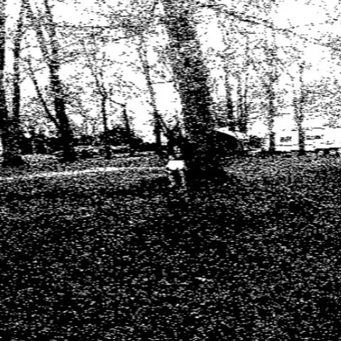 Prehistoric Ocean of Fossils