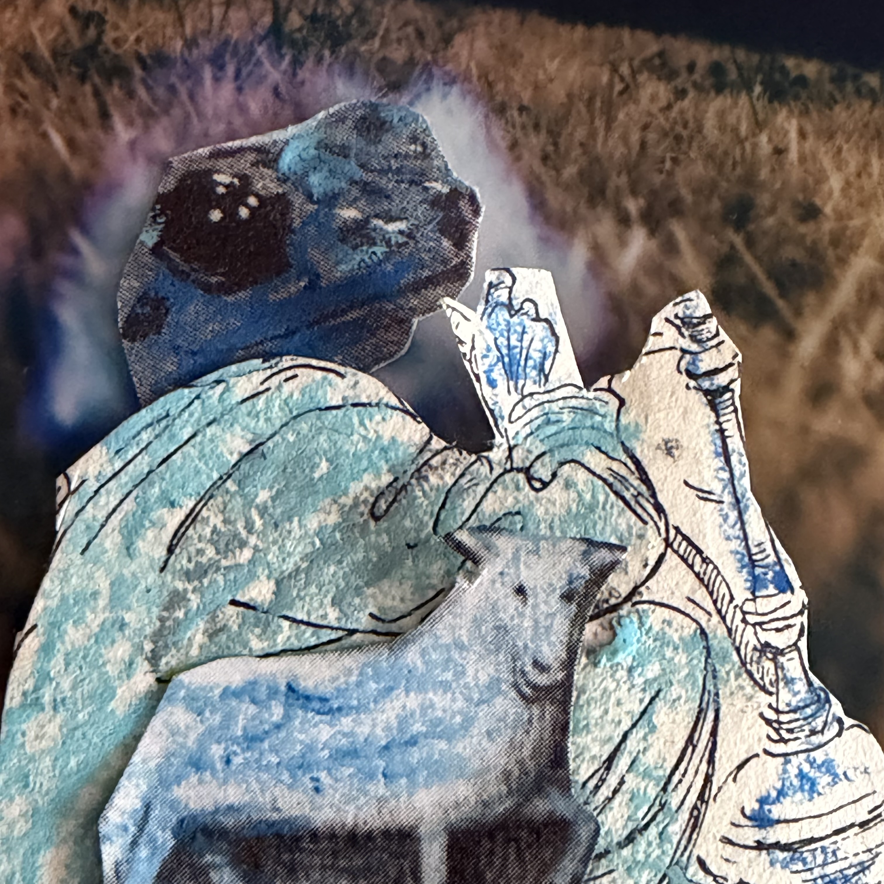 Blue Shepherd